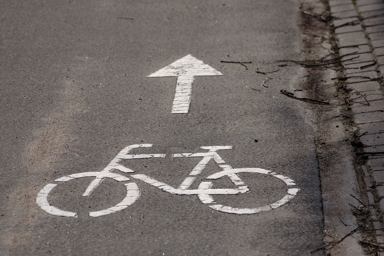 An arrow painted on the road with a bicycle symbol.